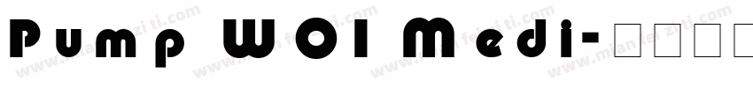 Pump W01 Medi字体转换